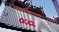 שיתוף פעולה חדש של OOCL עם Regional Container Lines