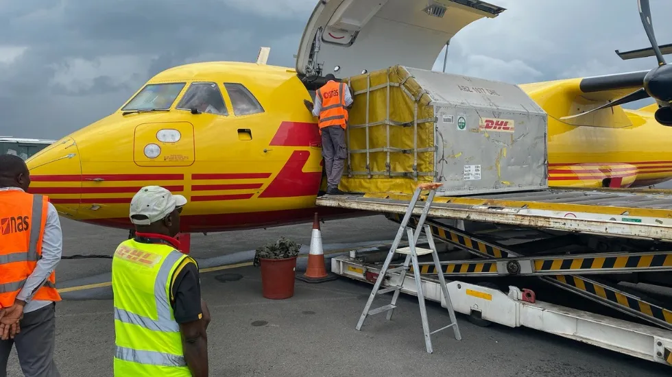 קופי שימפנזה מועלים על מטוס DHL בדרך לליבריה