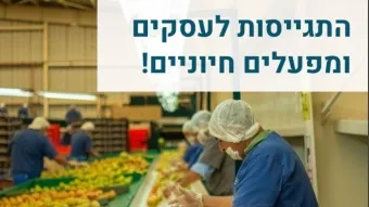 משרד הכלכלה והתעשייה פתח את החמ״ל הלאומי לתעסוקה 