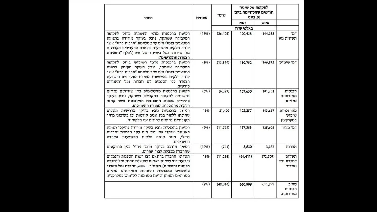 מתוך הדוחות הכספיים של חנ״י