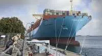 ה"Majestic Maersk"